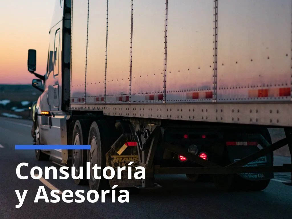 Consultoria y asesoria