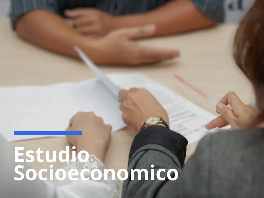 Estudios Socioeconomicos