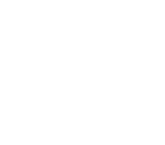 ISO Logo